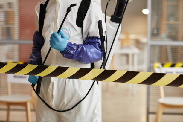 Professional Sewage Cleanup technician working in Alpine, TX